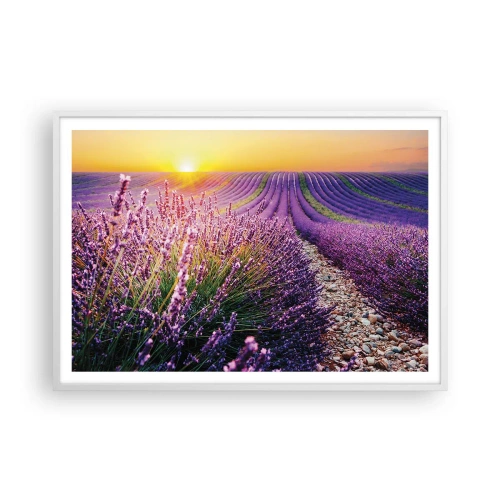 Poster in einem weißen Rahmen - Duftende Kornfelder - 100x70 cm