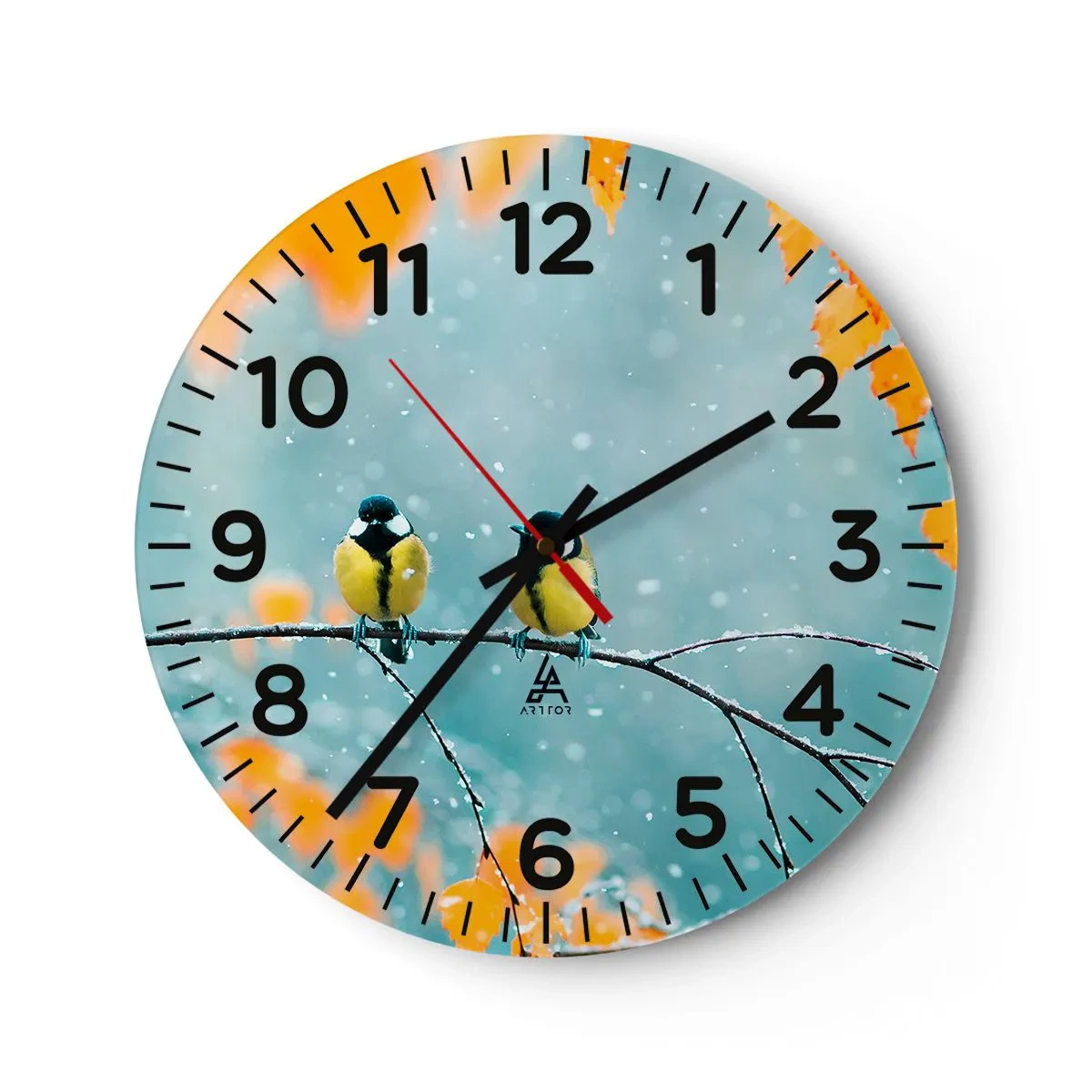 Wanduhr - Glasuhr - Vogelklatsch - 30x30 cm