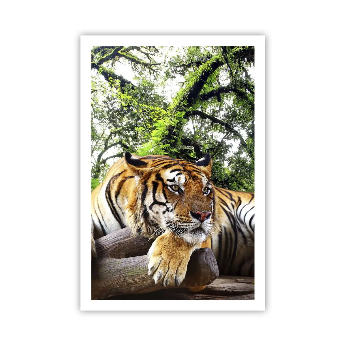 Poster - Hochachtungsvoll - 61x91 cm