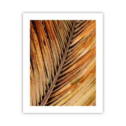 Poster - Kokosnuss-Gold - 40x50 cm