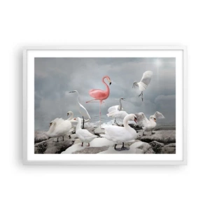 Poster in einem weißen Rahmen - Wie kam ich hier hin? - 70x50 cm