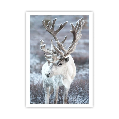 Poster - Porträt in der Sonne - 70x100 cm