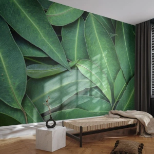 Selbstklebende Fototapete Deluxe Sticker - Saftig und frisch - Blätter, Eukalyptus, Natur - 400x280 cm