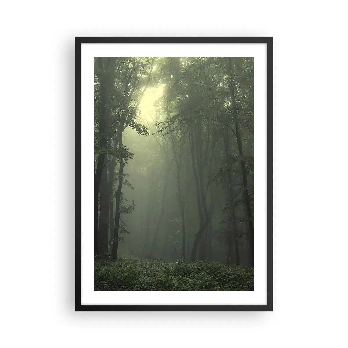 Poster in einem schwarzem Rahmen - Neblige Bäume in einem grünen Wald - 50x70cm - Bevor er aufwacht - Moderne Wanddekoration für Wohnzimmer und Schlafzimmer ARTTOR