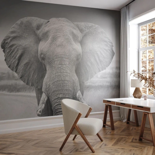 Fototapete Premium Sand - Willkommen in meiner Welt - Elefant, Afrika, Tiere - 150x105 cm