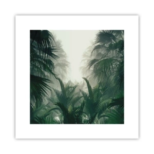 Poster - Tropisches Geheimnis - 30x30 cm
