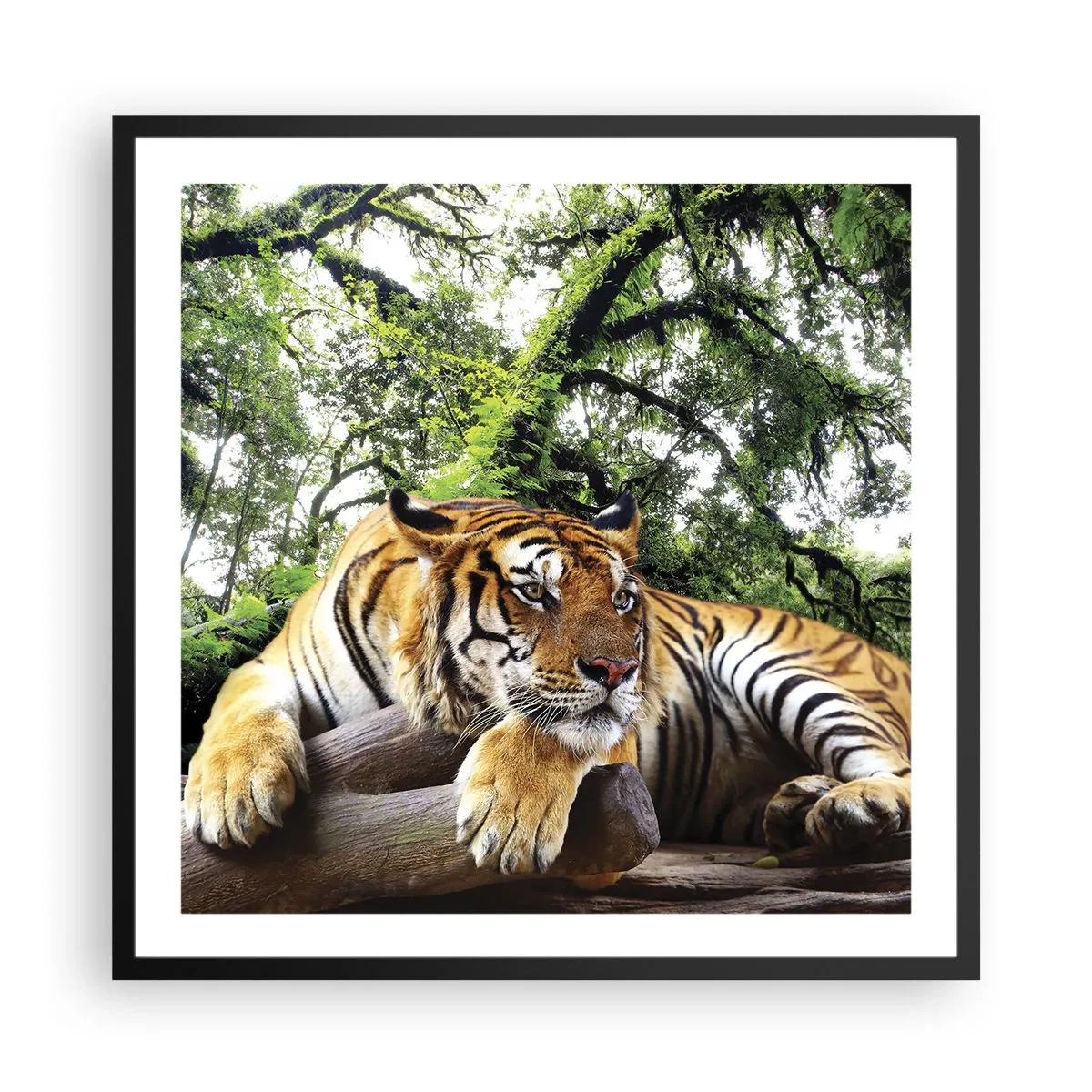 Poster in einem schwarzem Rahmen - Hochachtungsvoll - 60x60 cm