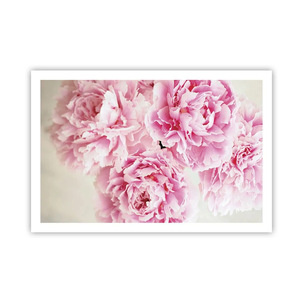 Poster - In rosa Glamour - 91x61 cm