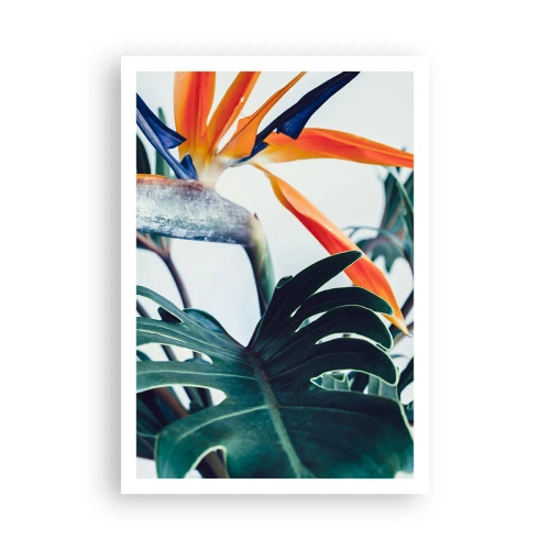 Poster - Vogelbusch - 70x100 cm