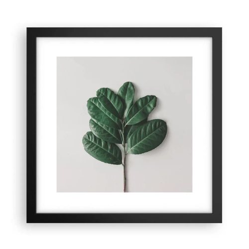 Poster in einem schwarzem Rahmen - Eine Zeichnung purer Natur - 30x30 cm