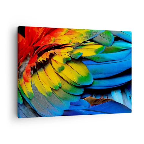 Bild auf Leinwand - Leinwandbild - Eine Nahaufnahme der bunten Federn eines Papageis - 70x50cm - Paradiesvogel - Moderne Wanddekoration für Wohnzimmer und Schlafzimmer ARTTOR