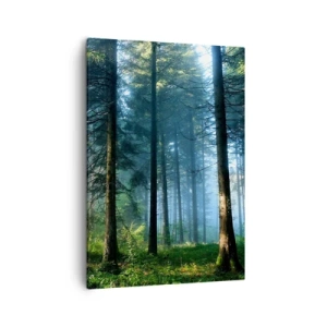 Bild auf Leinwand - Leinwandbild - Ein Waldweg, beleuchtet von den Strahlen der Morgensonne - 50x70cm - Strahlend am Morgen - Moderne Wanddekoration für Wohnzimmer und Schlafzimmer ARTTOR