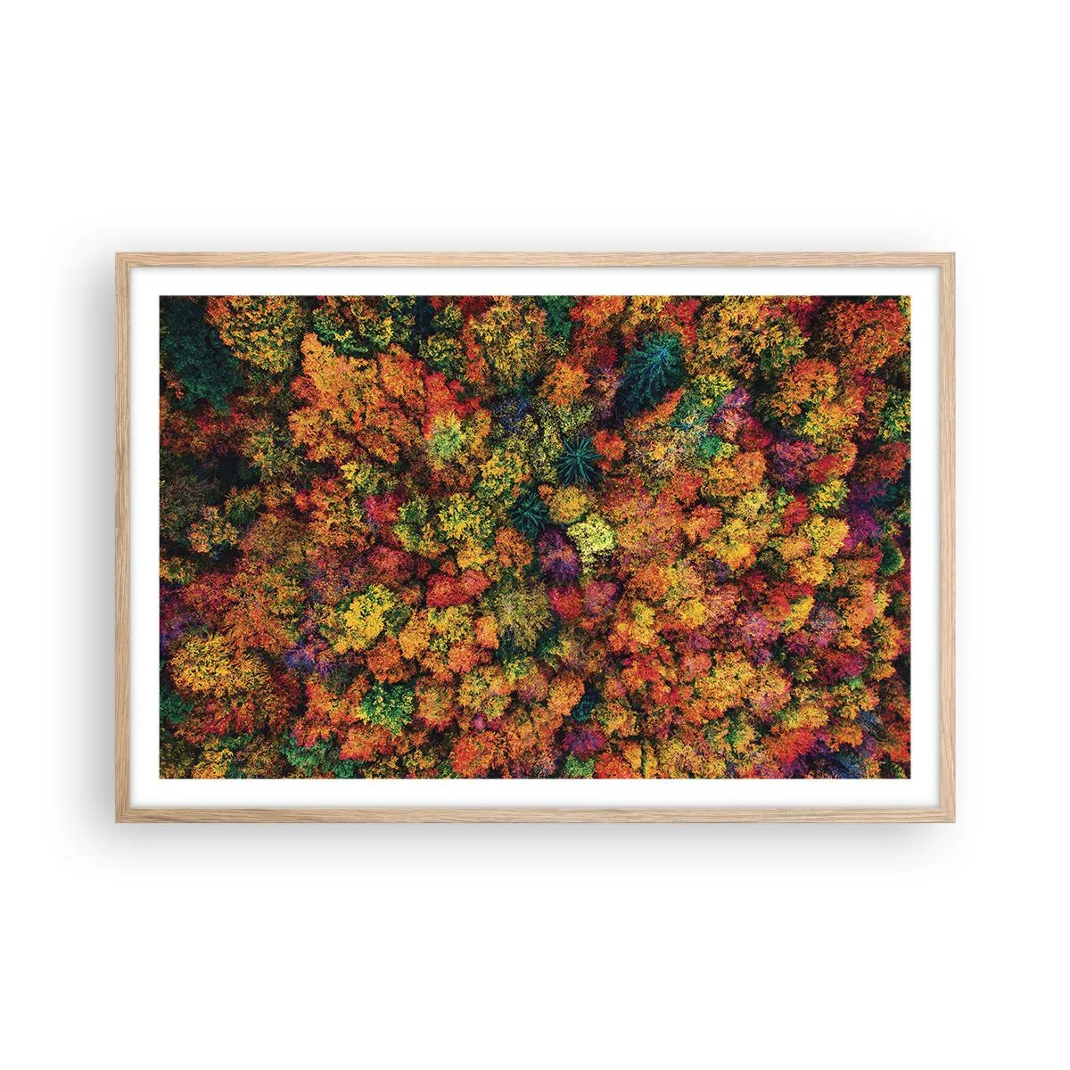 Poster in einem Rahmen aus heller Eiche - Blumenstrauß aus Herbstbäumen - 91x61 cm
