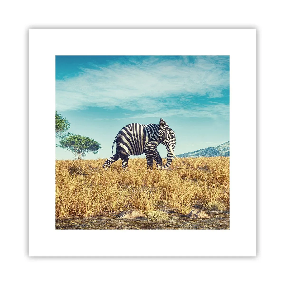 Poster - Grau ist nicht mehr in Mode - 30x30 cm