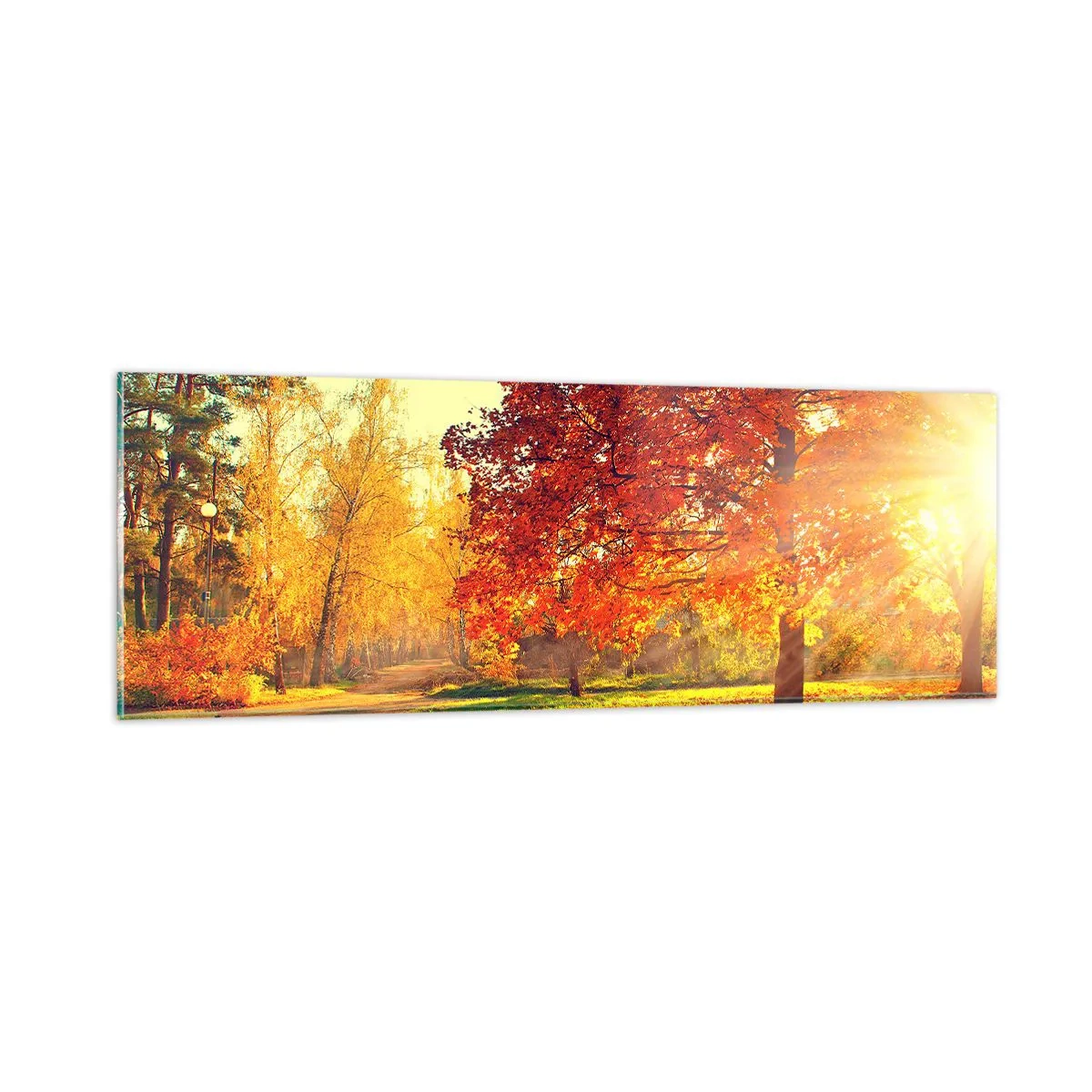 Glasbild - Bild auf glas - Unhöflich ist schön - 90x30 cm