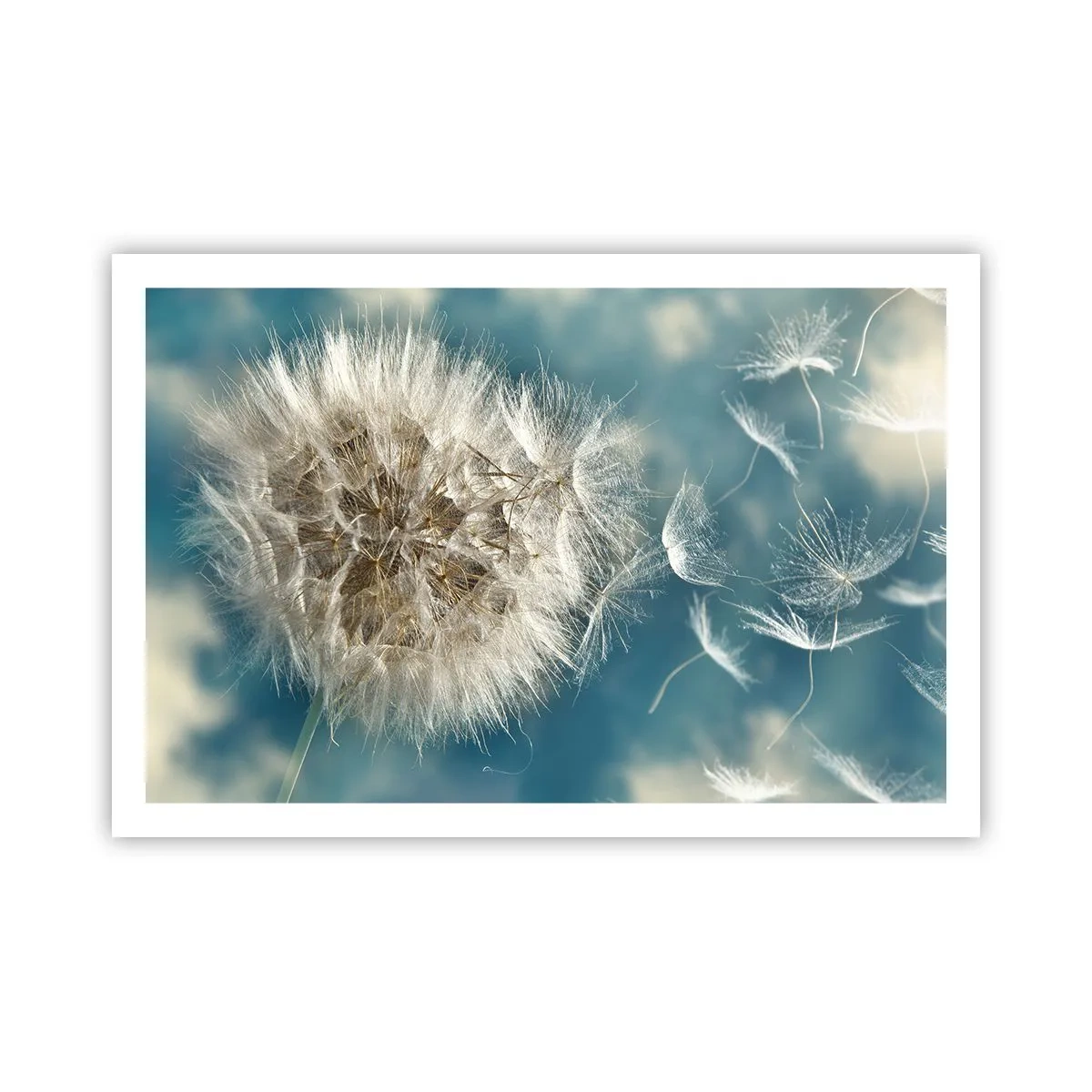 Poster - Engelsatem - 91x61 cm