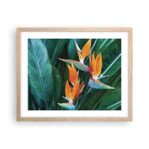Poster in einem Rahmen aus heller Eiche - Ist es eine Blume oder ist es ein Vogel? - 50x40 cm