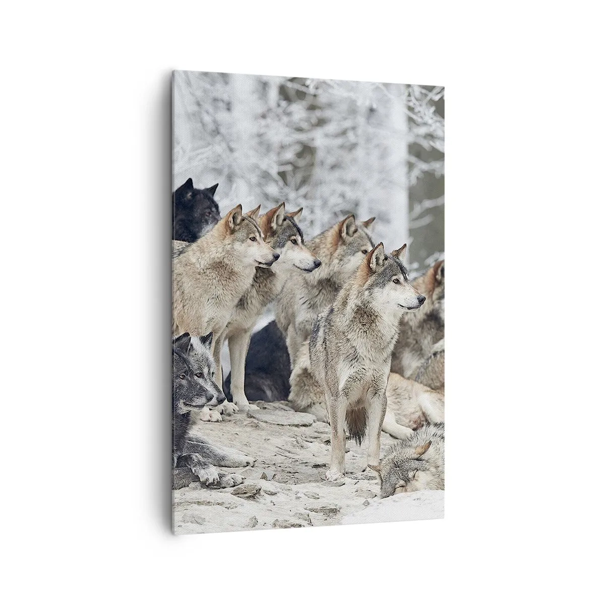 Bild auf Leinwand - Leinwandbild - Ein Wolfsrudel im Winterwald - 80x120cm - Familie und Freunde - Moderne Wanddekoration für Wohnzimmer und Schlafzimmer ARTTOR