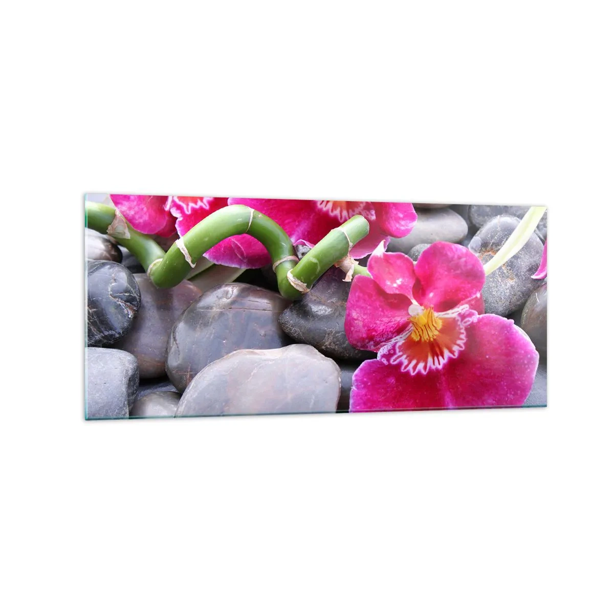 Glasbild - Bild auf glas - Rosa Orchideen vor einem Hintergrund aus glatten Steinen - 120x50cm - Kühlen und erhitzen - Moderne Wanddekoration für Wohnzimmer und Schlafzimmer ARTTOR