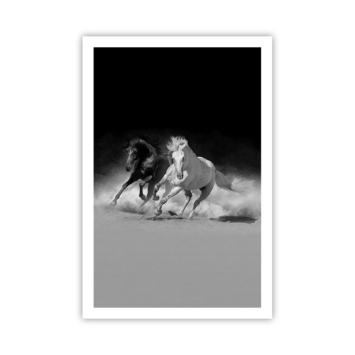 Poster - Galopp der Freiheit - 61x91 cm