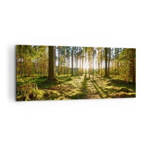 Bild auf Leinwand - Leinwandbild - Grüner Wald, beleuchtet durch Sonnenlicht auf dem Moos - 120x50cm - … Hinter den sieben Wäldern - Moderne Wanddekoration für Wohnzimmer und Schlafzimmer ARTTOR