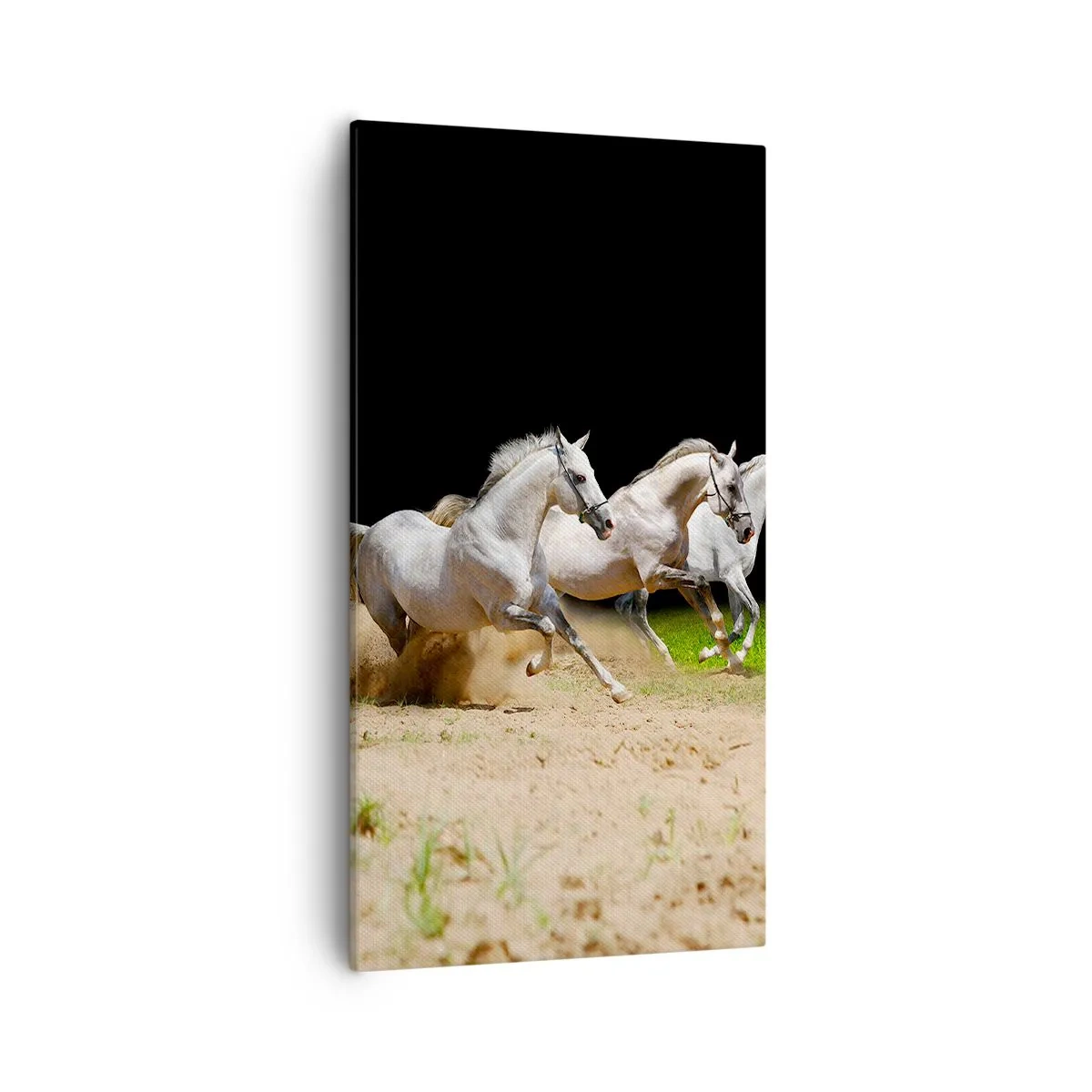 Bild auf Leinwand - Leinwandbild - Drei Grazien - 55x100 cm