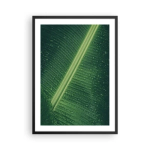Poster in einem schwarzem Rahmen - Nahaufnahme eines grünen Blattes mit Wassertropfen - 50x70cm - Die Struktur des Grüns - Moderne Wanddekoration für Wohnzimmer und Schlafzimmer ARTTOR