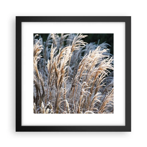Poster in einem schwarzem Rahmen - Gekleidet mit Frost - 30x30 cm