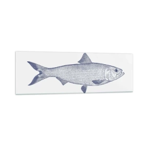 Glasbild - Bild auf glas - Illustration eines Fisches in Blautönen auf hellem Hintergrund - 160x50cm - Grüße aus den nördlichen Meeren - Moderne Wanddekoration für Wohnzimmer und Schlafzimmer ARTTOR