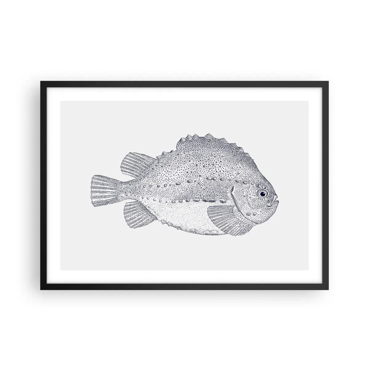 Poster in einem schwarzem Rahmen - Schwarz-weiße Zeichnung eines Fisches auf weißem Hintergrund im minimalistischen Stil - 70x50cm - Für das Album des Naturforschers - Moderne Wanddekoration für Wohnzimmer und Schlafzimmer ARTTOR