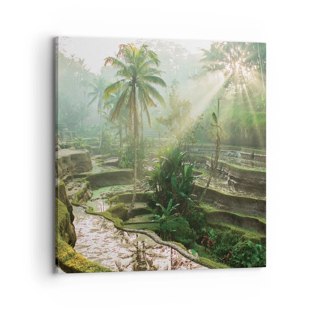 Bild auf Leinwand - Leinwandbild - In der Sonne aufwachsen - 70x70 cm