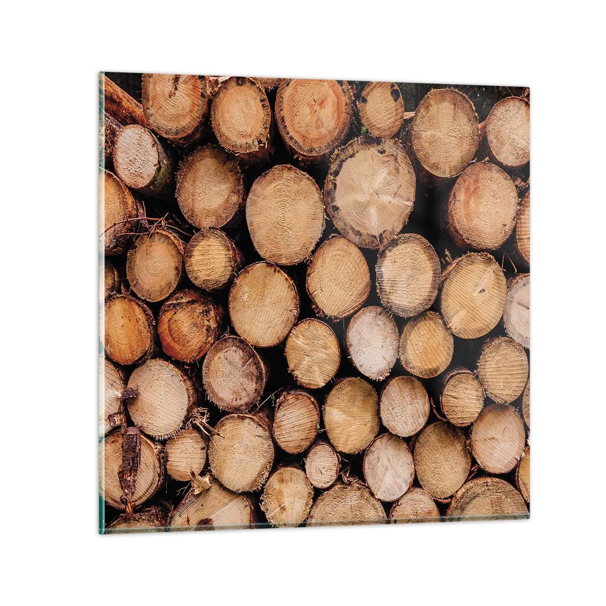 Glasbild - Bild auf glas - Ein neuer Anfang - 30x30 cm