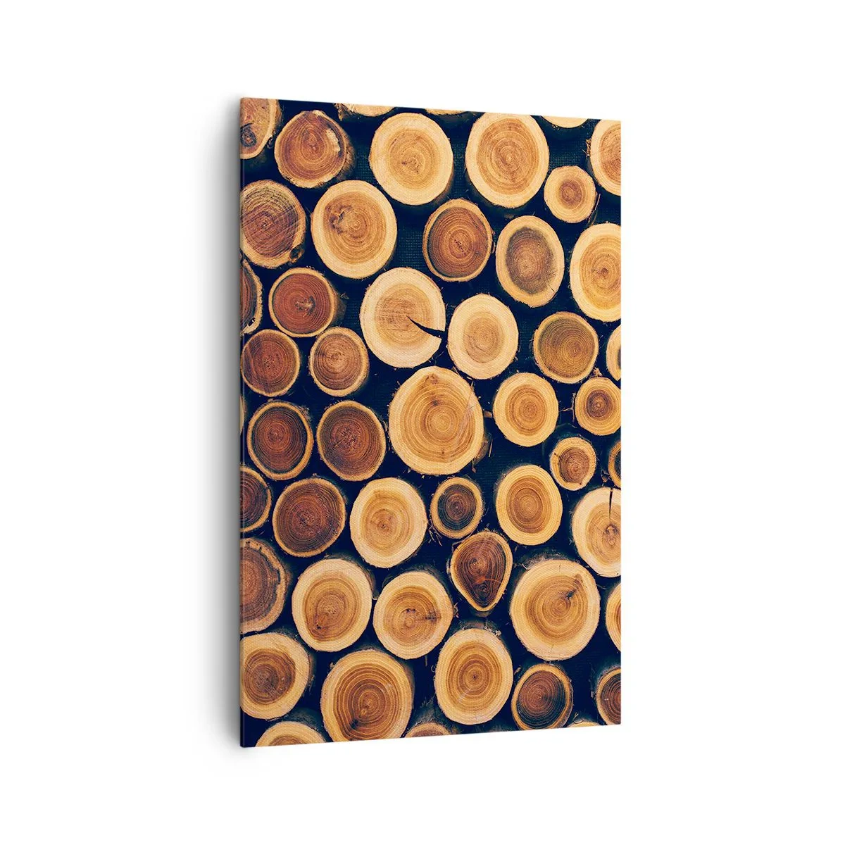 Bild auf Leinwand - Leinwandbild - Muster aus Querschnitten von Holzstämmen - 80x120cm - Wie alt sehe ich aus? - Moderne Wanddekoration für Wohnzimmer und Schlafzimmer ARTTOR