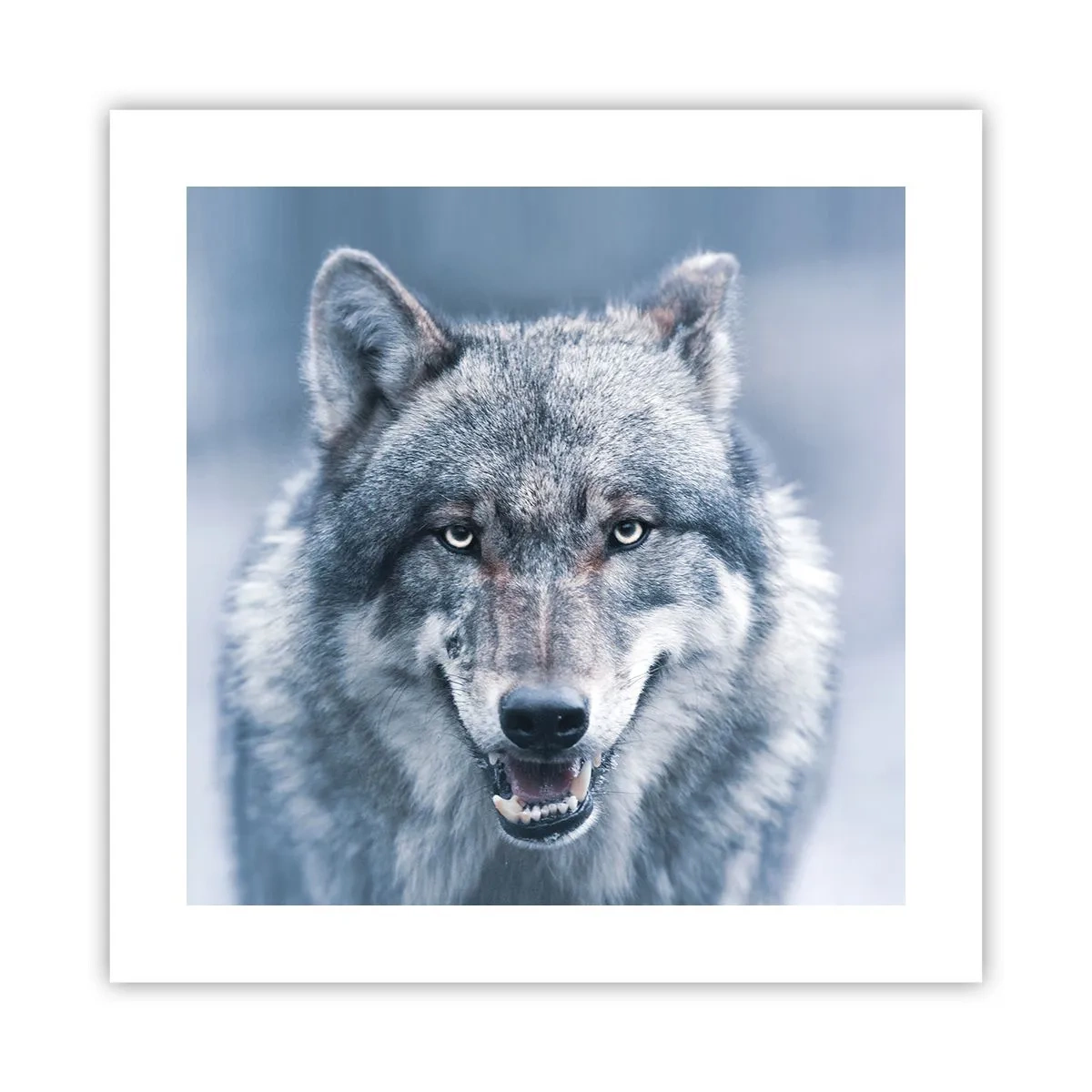 Poster - Werden Sie die Herausforderung annehmen? - 40x40 cm