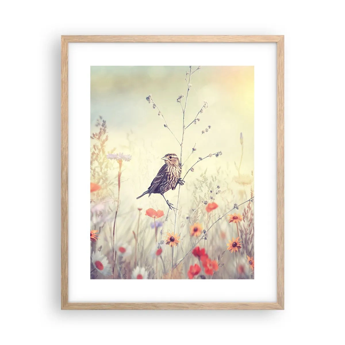 Poster in einem Rahmen aus heller Eiche - Vogelporträt mit einer Wiese im Hintergrund - 40x50 cm