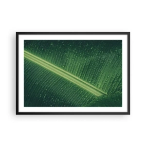 Poster in einem schwarzem Rahmen - Ein grünes Blatt mit Wassertropfen auf der Oberfläche - 70x50cm - Die Struktur des Grüns - Moderne Wanddekoration für Wohnzimmer und Schlafzimmer ARTTOR