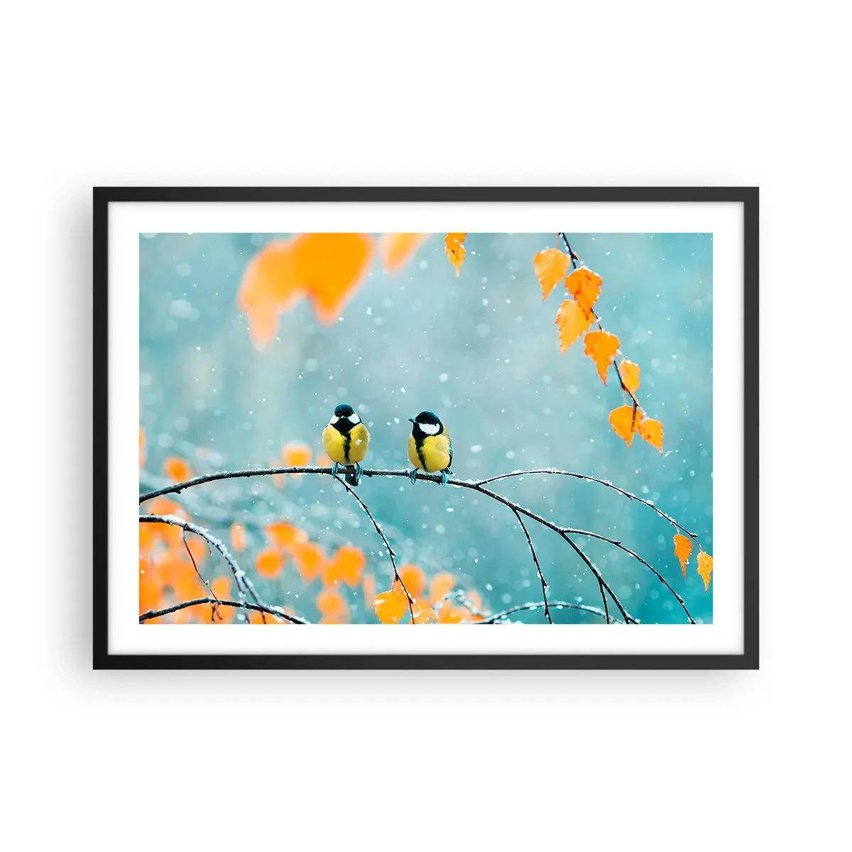 Poster in einem schwarzem Rahmen - Zwei Vögel auf einem Ast in einer Winterlandschaft mit gelben Blättern. - 70x50cm - Vogelklatsch - Moderne Wanddekoration für Wohnzimmer und Schlafzimmer ARTTOR
