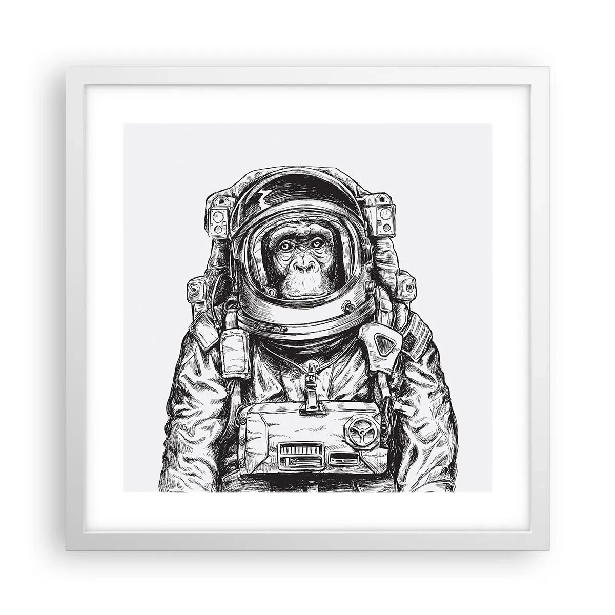 Poster in einem weißen Rahmen - Alternative Evolution - 40x40 cm