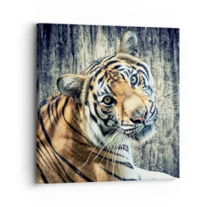 Bild auf Leinwand - Leinwandbild - Portrait in Lichtstrahlen - 30x30 cm