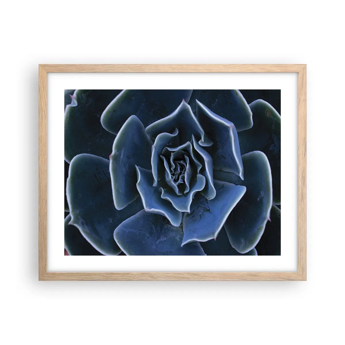 Poster in einem Rahmen aus heller Eiche - Wüstenblume - 50x40 cm