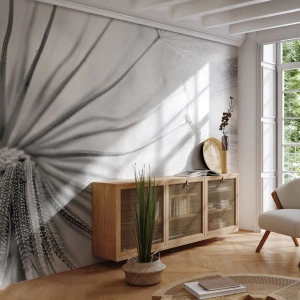 Maßgeschneiderte Fototapete Standard Eco - Löwenzahn, Drachen - Minimalismus, Empfindlich, Blume