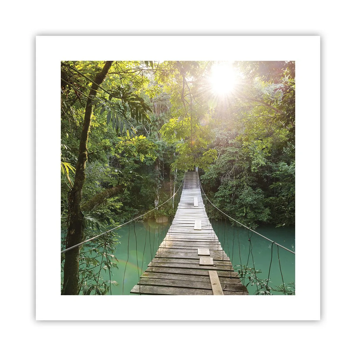 Poster - Über das azurblaue Wasser zum azurblauen Wald - 40x40 cm