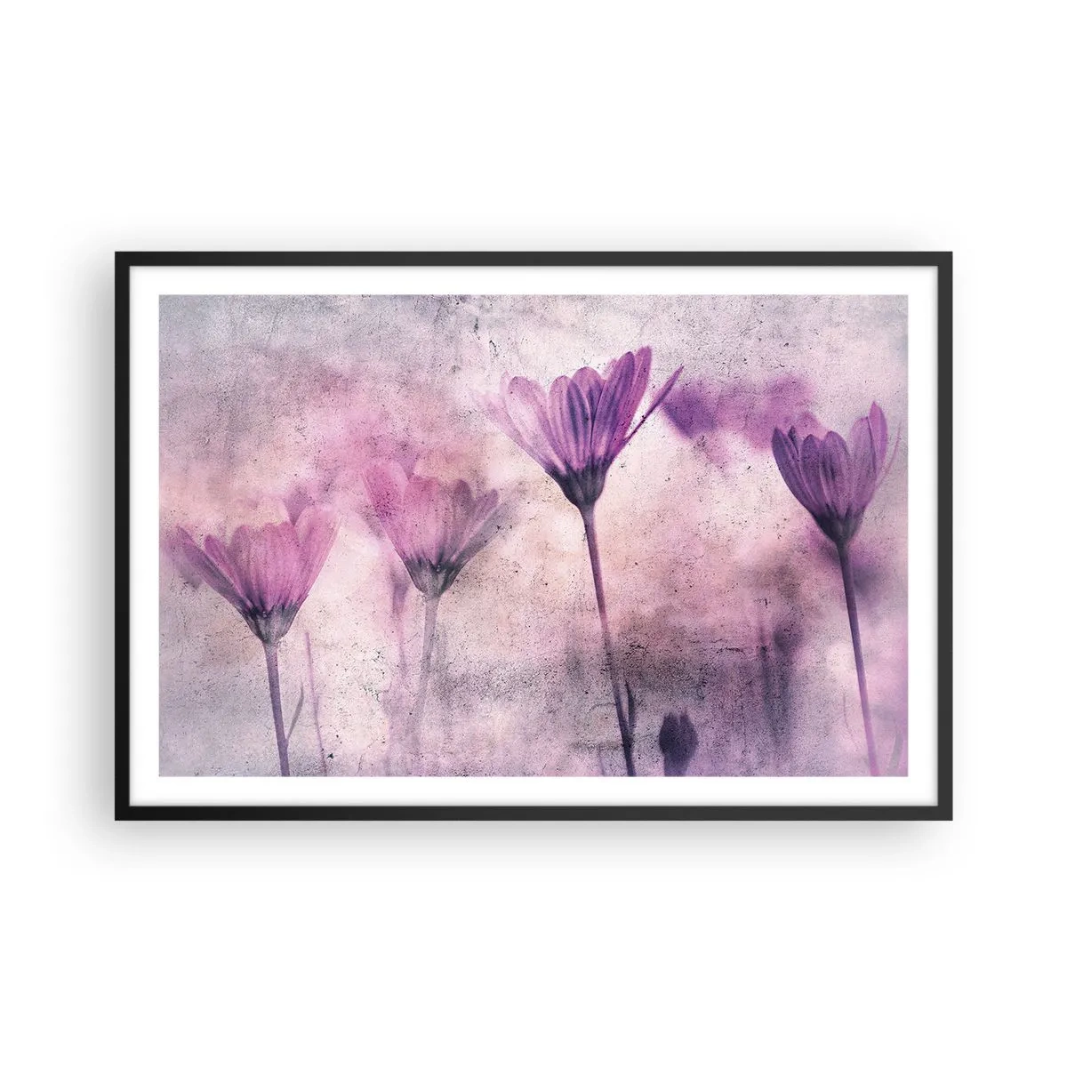 Poster in einem schwarzem Rahmen - Ein Blumentraum - 91x61 cm