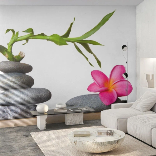 Fototapete Premium Canvas - Farben des Lebens und der Dauer - Blume, Steine, Spa - 350x256 cm