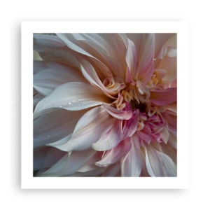 Poster - Blühende Frische - 50x50 cm