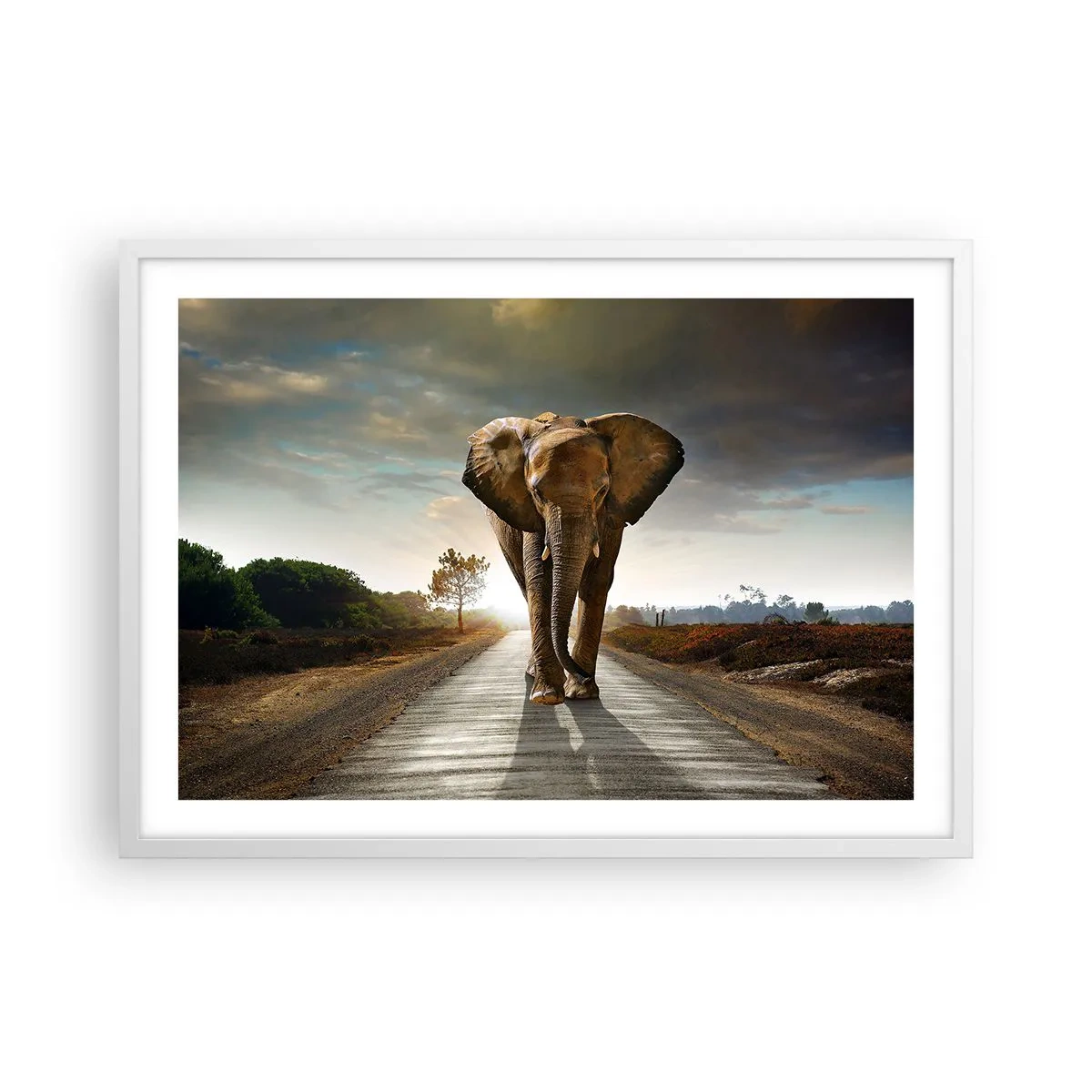 Poster in einem weißen Rahmen - Und schon gar nicht in einem Porzellanlager - 70x50 cm