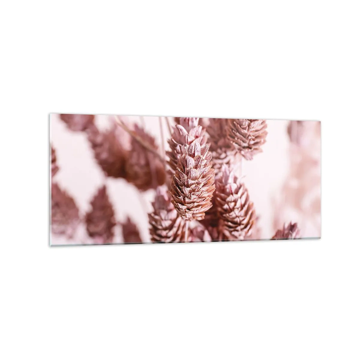 Glasbild - Bild auf glas - Eine Nahaufnahme der zarten rosa Ähren von Ziergräsern - 120x50cm - Scheinbar unauffällig - Moderne Wanddekoration für Wohnzimmer und Schlafzimmer ARTTOR