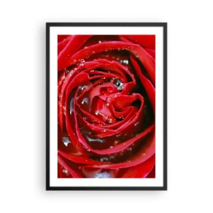 Poster in einem schwarzem Rahmen - Nahaufnahme einer roten Rose mit Wassertropfen - 50x70cm - In den Tautropfen - Moderne Wanddekoration für Wohnzimmer und Schlafzimmer ARTTOR