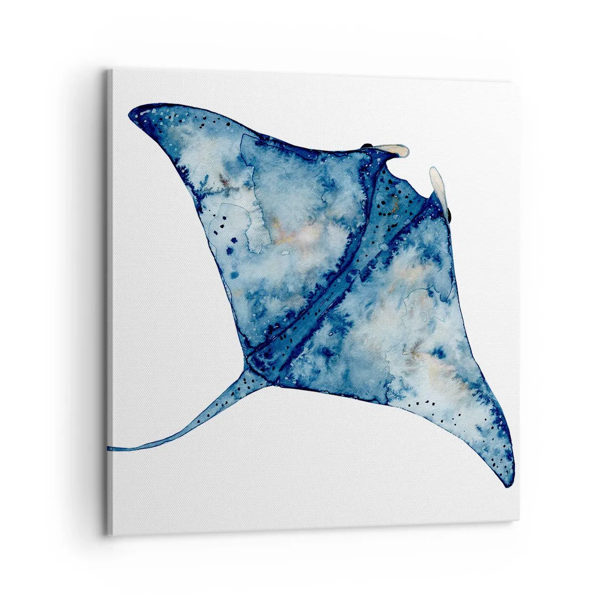 Bild auf Leinwand - Leinwandbild - Leben im Blau - 60x60 cm