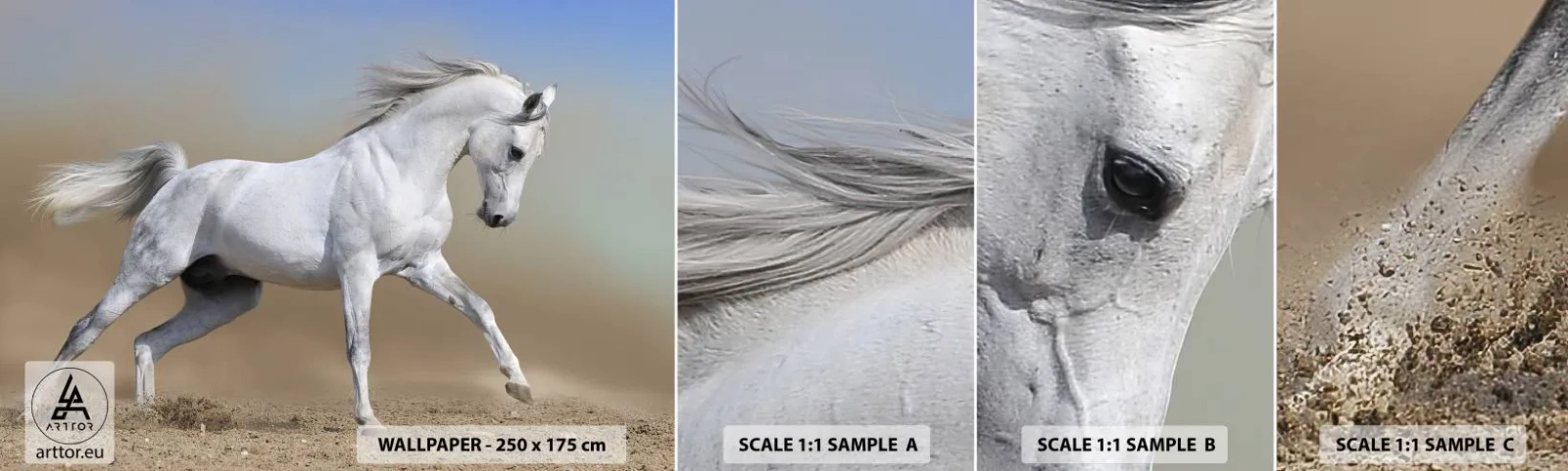 Fototapetenmuster Standard Eco - Die schönste arabische Sage - Pferd, Tiere, Galopp - 100x30 cm